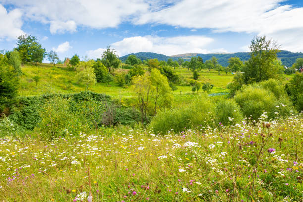 istock beautiful countryside of ukraine 2197789283