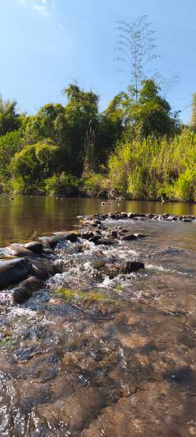 istock The river is clear and has many rocks underwater. 2197789806