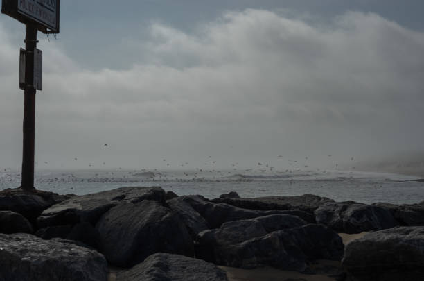 Foggy morning during winter at the beach