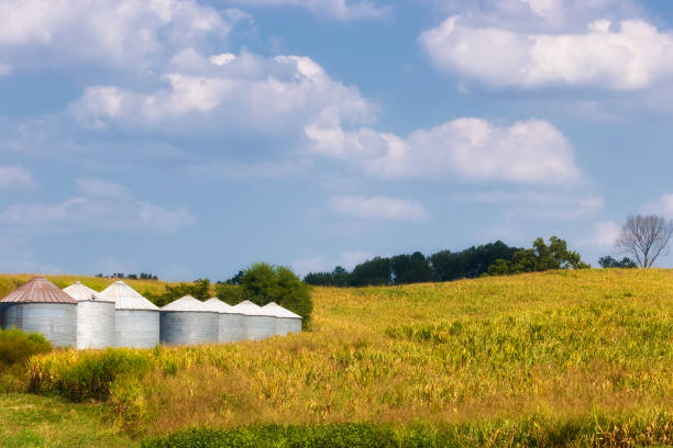 istock Countryside Views in Northeastern Tennessee, USA 2197800849