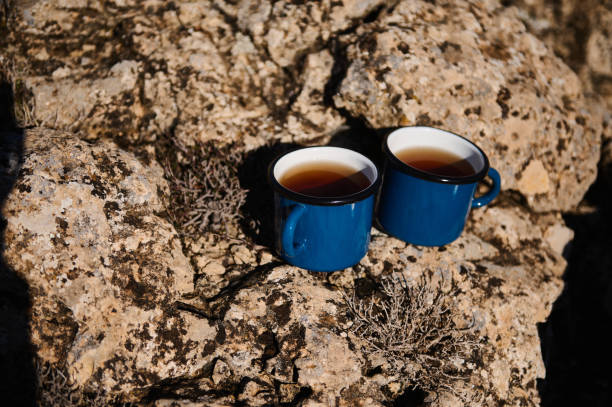 istock Two blue enamel mugs with tea resting on rocky terrain surrounded by dry vegetation under direct sunlight. 2197802218