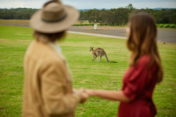 istock Young couple holding hands and observing unexpected kangaroo 2197802959