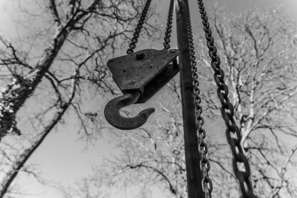 A heavy-duty pulley is suspended from a rusted chain, surrounded by tall, leafless trees under bright winter sunlight. The scene evokes a sense of nostalgia.