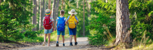 Three children walking along a path in a summer forest.