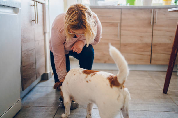 istock Woman feeds dog 2197817224