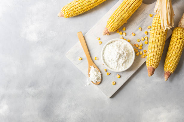 Corn starch in bowl and spoon with dried corn groats, kernels on rustic table. Maize starch with ripe cobs and kernels