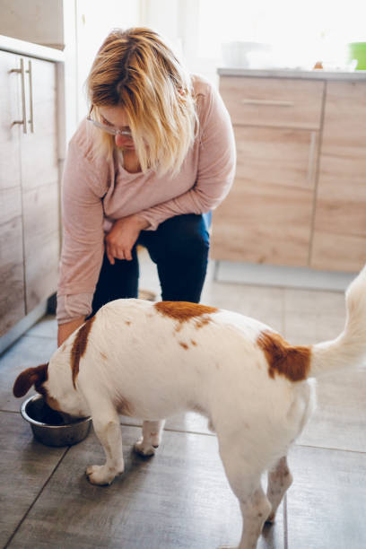 istock Woman feeds dog 2197817615