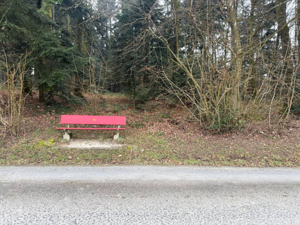 istock Red Bench in a Forest Clearing Along a Hiking Trail 2197819244