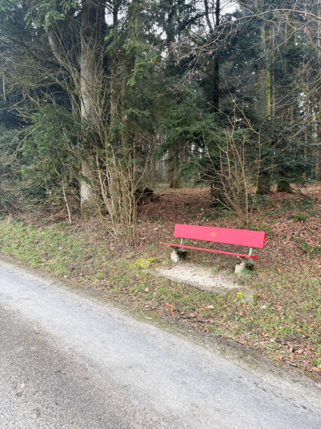 istock Red Bench in a Forest Clearing Along a Hiking Trail 2197819254
