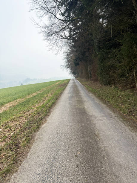 istock Rural Road Between Fields and Forest on a Foggy Day 2197819863