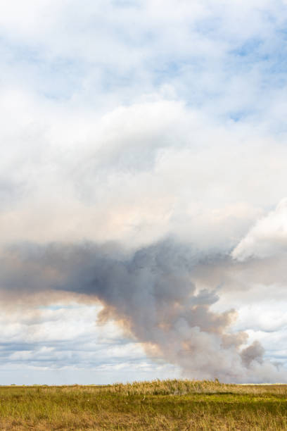 This is a photograph of smoke in the sky over the wetlands in the Florida Everglades during a controled burn in winter.
