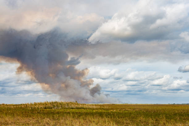 This is a photograph of smoke in the sky over the wetlands in the Florida Everglades during a controled burn in winter.