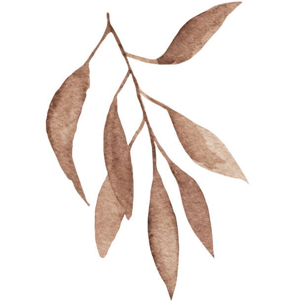 istock Watercolor cute brown fantasy brunch with leaves isolated on white background 2197820711