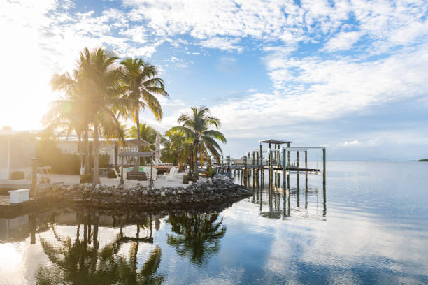 istock Tropical Florida Key with Palm Trees and Gulf Coast Water 2197820756