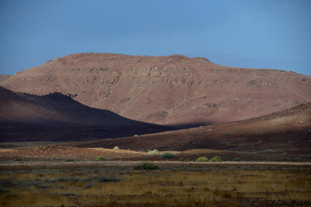 In the distance is a mountain.The base is in shadow but the top is sunlit. \n\nThe photo was taken near a spring called Xai Ais in the Palmweg Concession Area in Damaraland, a permit only area of the Namib Desert  in north west Namibia in February 2024