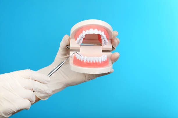istock Female hands holding teeth model and dental tool on blue background 2197824744
