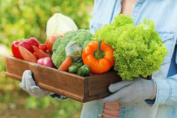 istock Female hands holding crate with fresh vegetables 2197825360