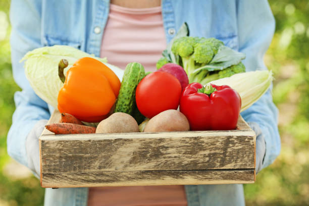 istock Female hands holding basket with fresh vegetables 2197825874