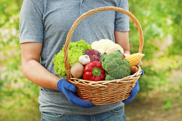 istock Male hands holding basket with fresh vegetables 2197826076