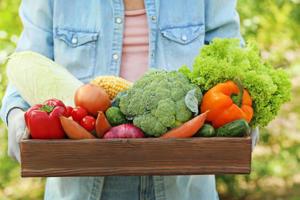 istock Female hands holding crate with fresh vegetables 2197826202