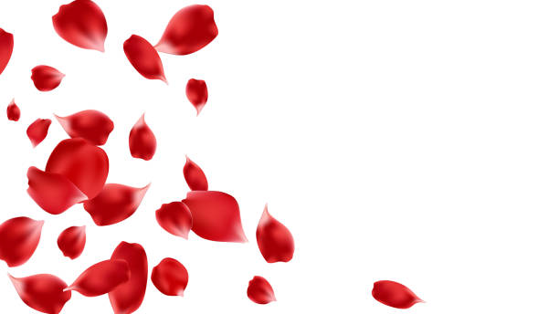 istock Frame red rose petal confetti decoration Valentine's Day background, greeting card, love festival 2197826817