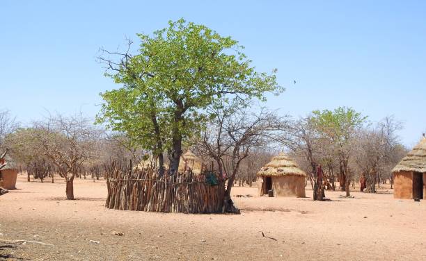 istock Himba tribes, Kamanjab, Kunene Region, Namibia 2197826904