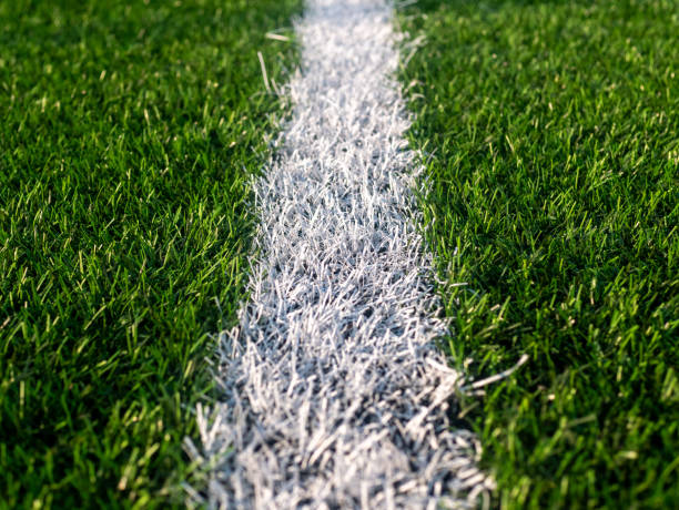 Turf field