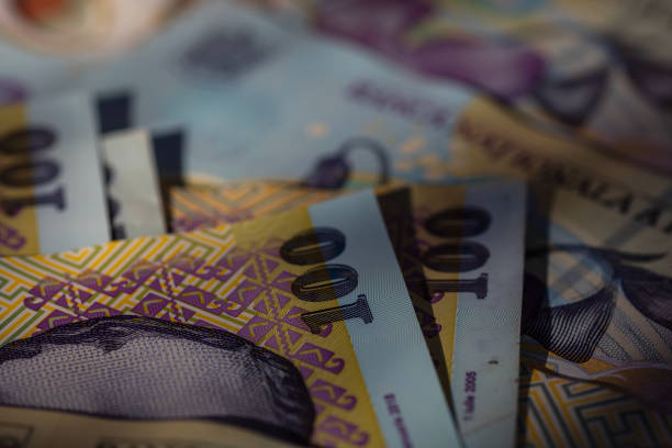 istock Romanian LEI Currency Banknote. RON Money Currency 2197829385
