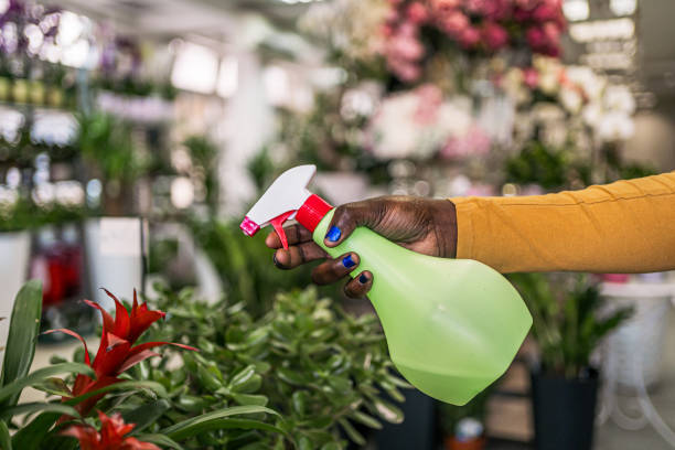 Woman spraying potted plant with water at the flower shop