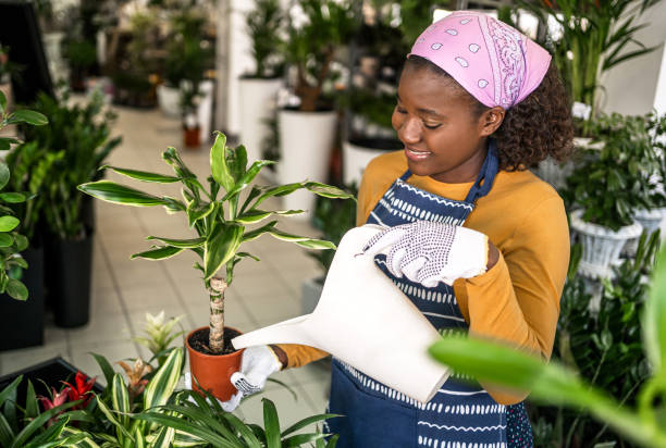 istock Female florist watering flowers 2197830452