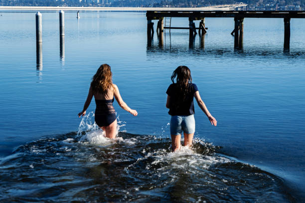 Two Women Partake in an Invigorating Healthy Cold Plunge in a lake.  This activity provides improved circulation, reduced inflammation, and enhanced mental clarity.  This was a cold day 32 degrees Fahrenheit with a water temperature of 54.  Images captured at Mt Baker Park Beach on Lake Washington Seattle.