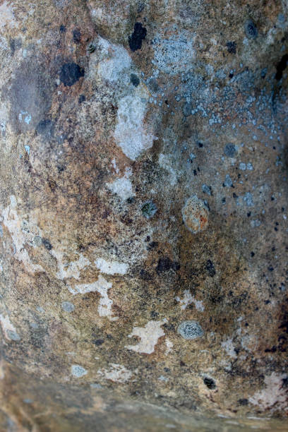 Real natural stone texture for the background.