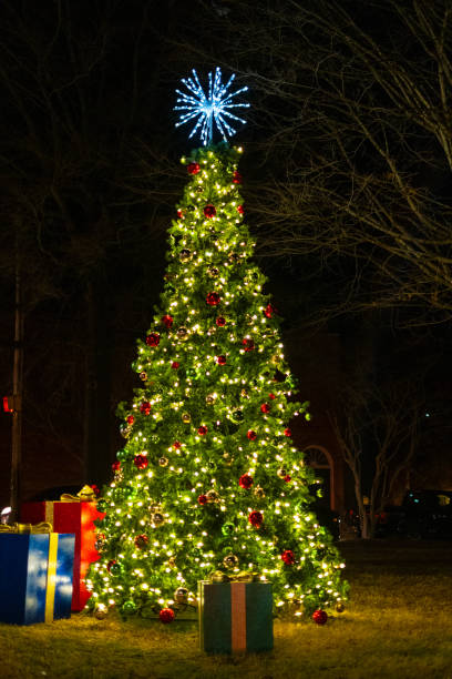 istock Christmas tree on the street 2197838387
