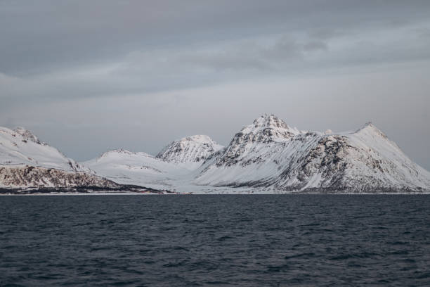 istock Snow-Capped Peaks and Arctic Sea 2197839483