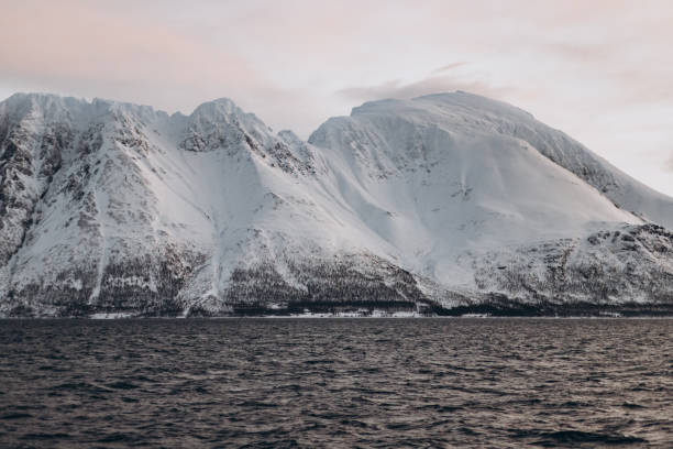 istock Arctic Sea and Peaks 2197839709