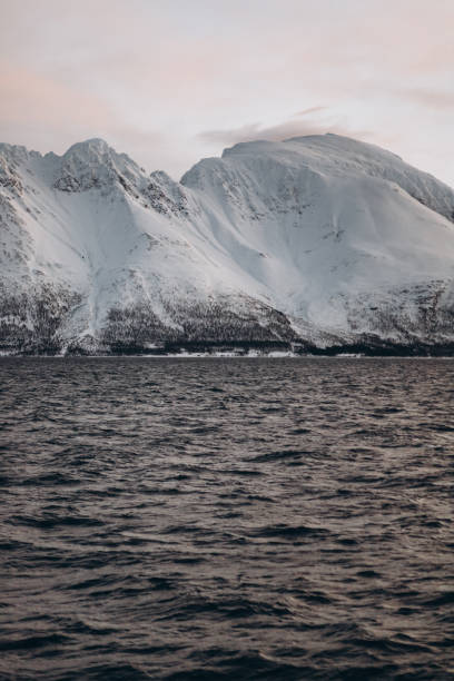 istock Winter's Majesty in Iceland 2197839713
