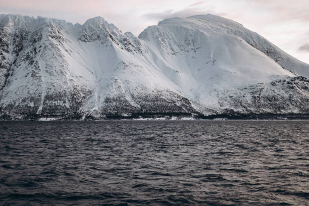 istock Arctic Mountains and Sea 2197839782