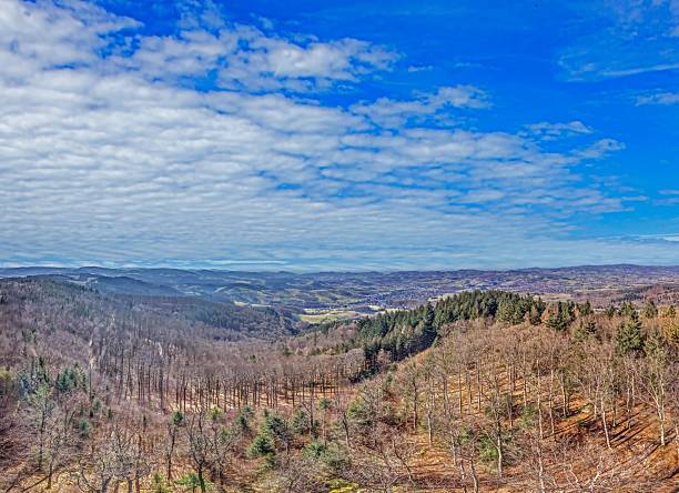 Panoramic view from Tromm observation tower in Odenwald towards the Rhine valley at daytime