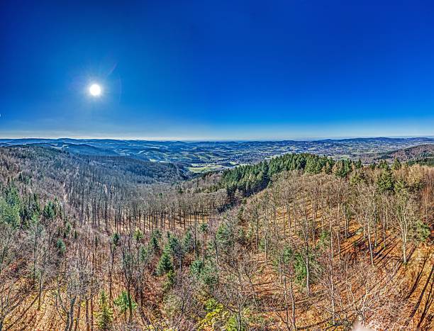 Panoramic view from Tromm observation tower in Odenwald towards the Rhine valley at daytime