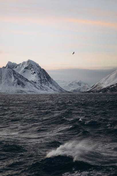 istock Arctic Mountains and Turbulent Waters 2197841773