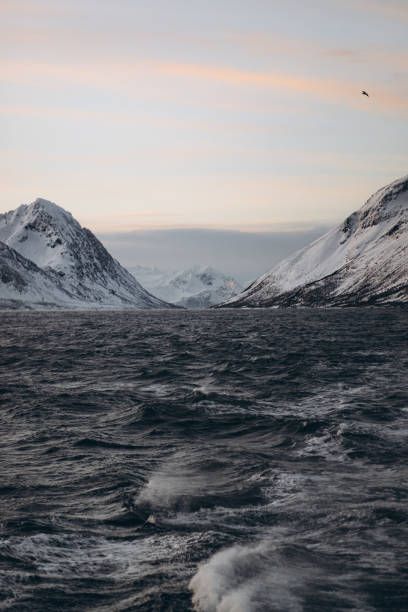 istock Winter's Majesty Over Icy Arctic Fjord 2197841775