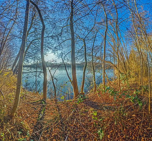 Winter view of Oberwaldsee in Moerfelden Walldorf with bare trees and sunlight reflections during daytime