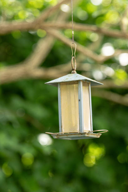 istock Metal and glass bird feeder hanging from a tree.. 2197842376