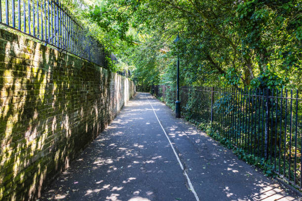 istock Tranquil Pathway in London. Green Trees and Sunlit Trail for Peaceful Walks 2197842556