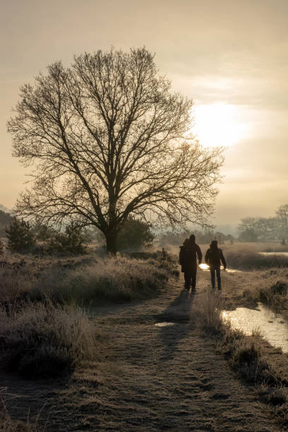 istock Nature walk on an early winter morning 2197846862