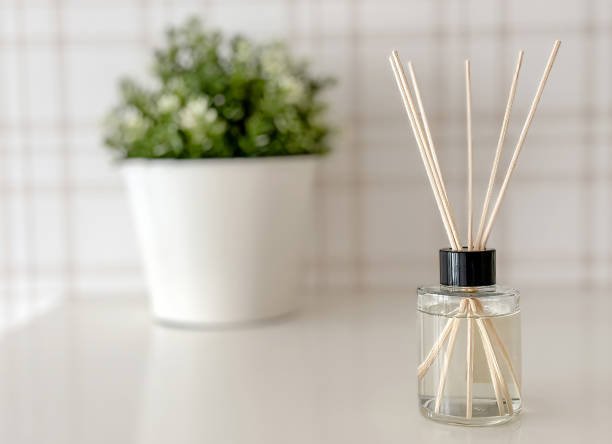 istock A small vase with a plant in it sits on a table. 2197857881