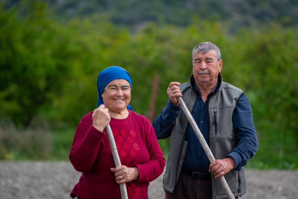 Rize, Turkey - July 2017: Unidentified old shephard woman in Blacksea Karadeniz region