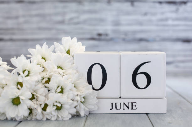 istock June 6th Calendar Blocks with White Daisies 2197858396