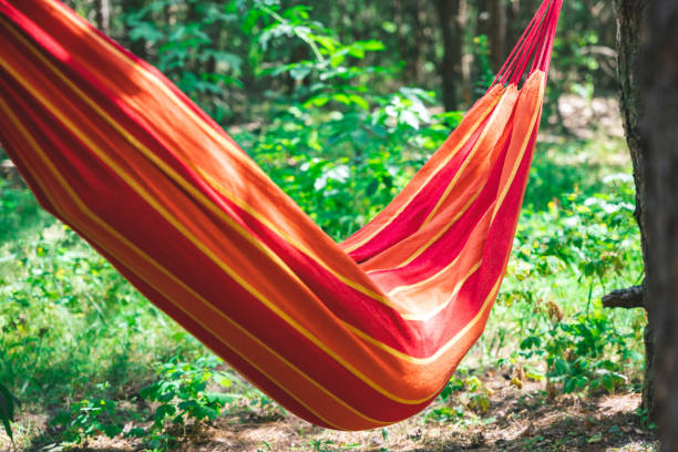 istock Relaxing in a hammock outdoors in the forest 2197858562
