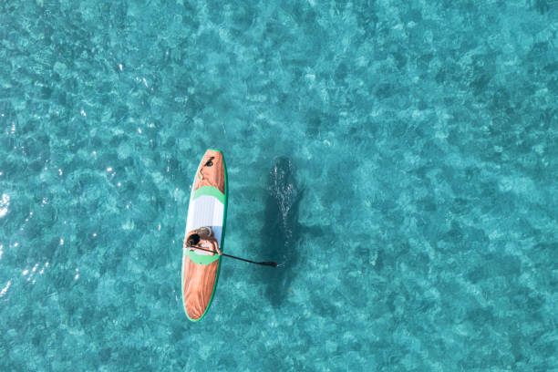 istock Girl on stand up paddle, SUP board paddling 2197859805